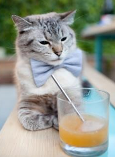 绿茵场外的总决赛，巴拉圭爆冷伊朗背后的全球体育叙事迁移