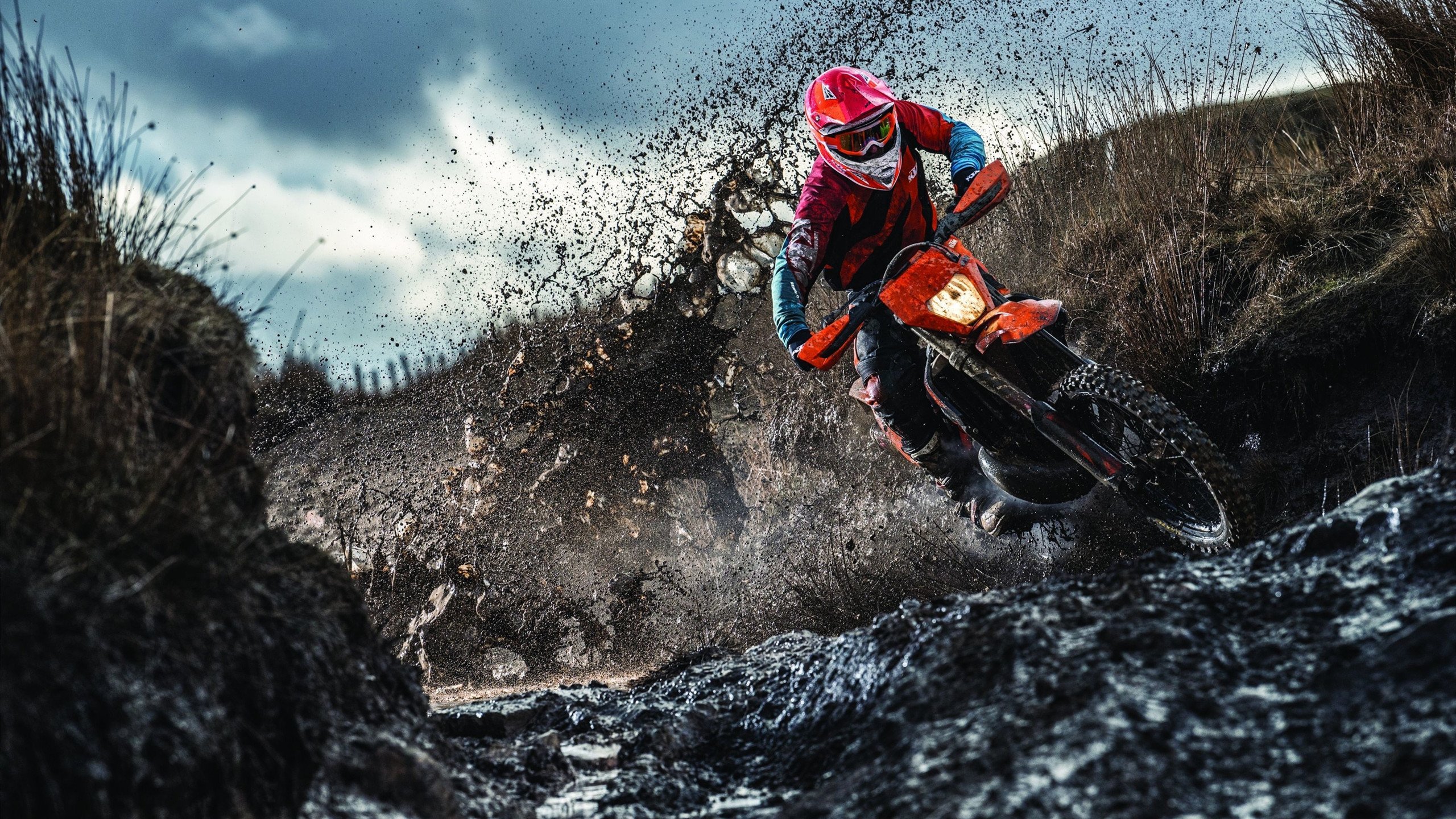 快船踏平国王显冠军相，塔图姆表现堪称现代篮球教科书